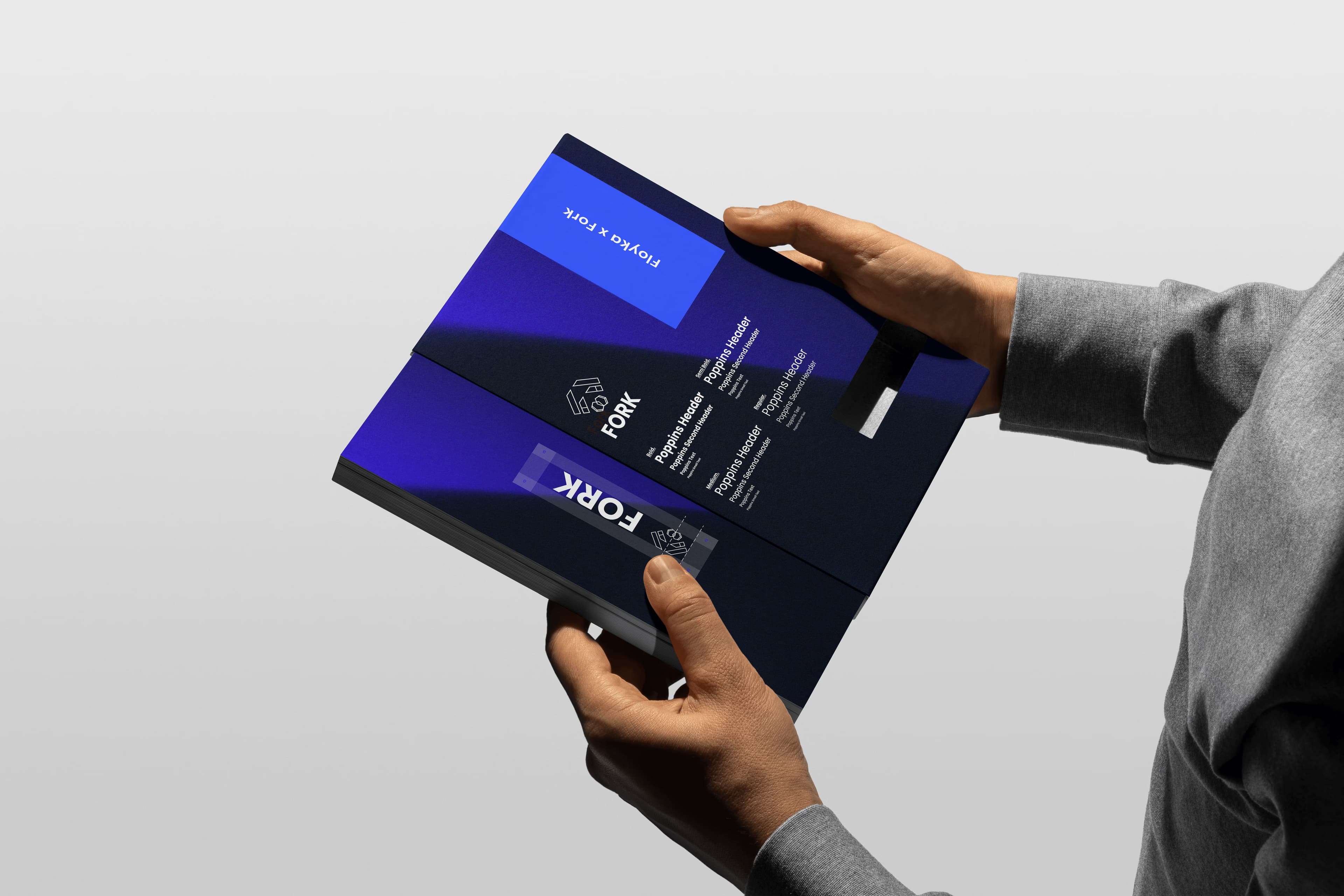 Fork Interface Details
